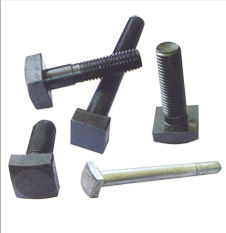 Square Head Bolt